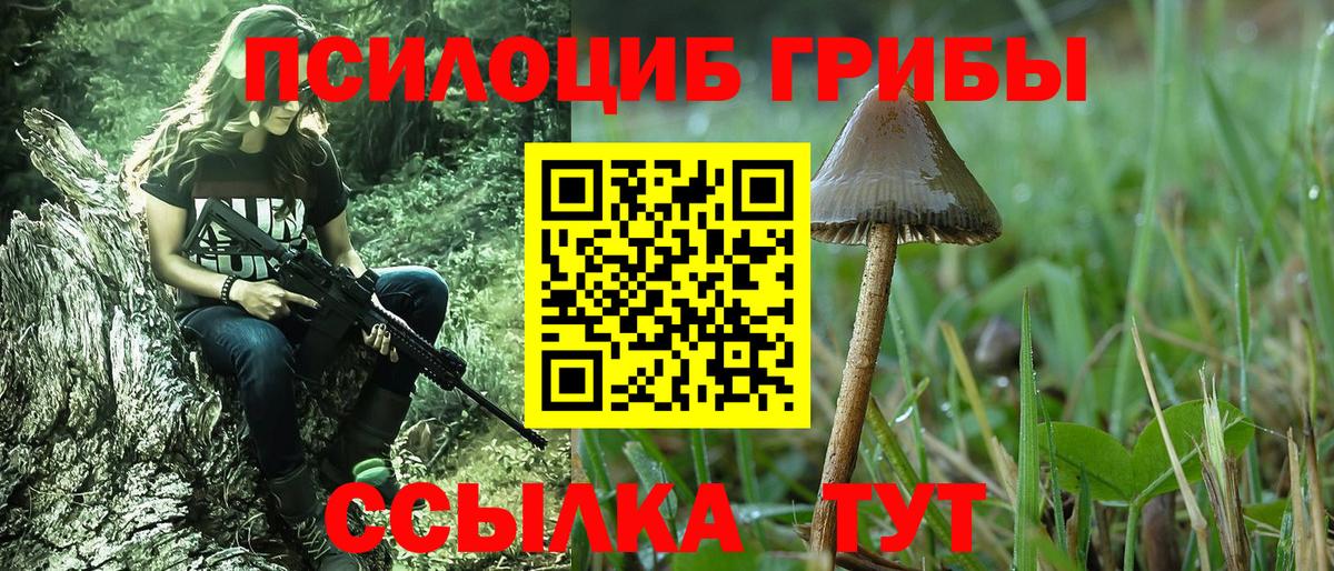 Галлюциногенные грибы Magic Shrooms  Галлюциногенные грибы мицелий  Фролово  Вход с VPN 